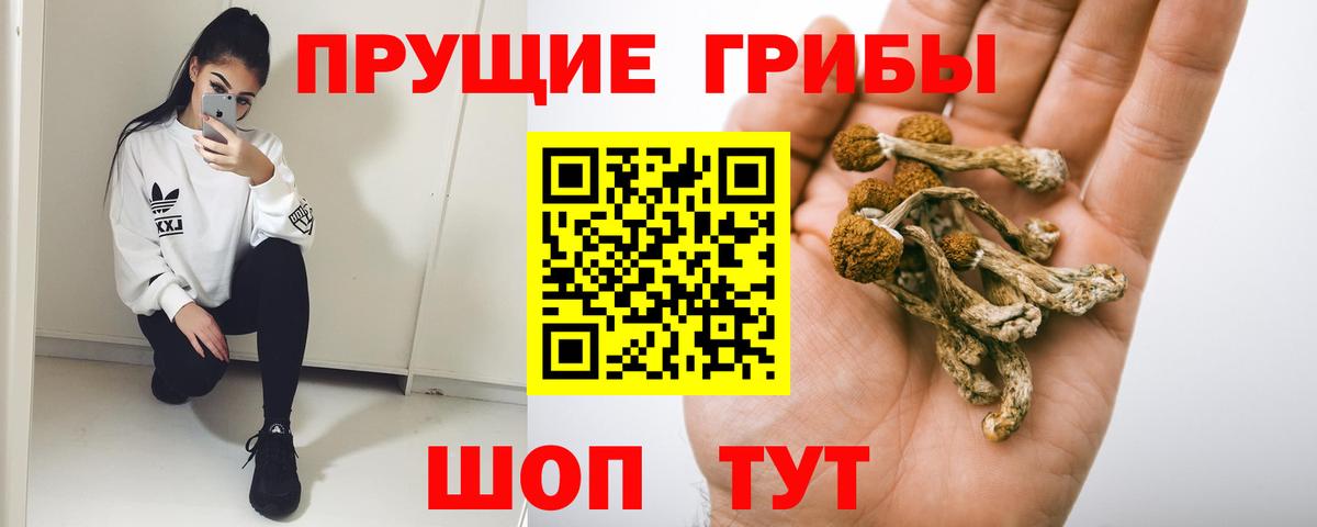 Казань  Псилоцибиновые грибы MAGIC MUSHROOMS  Вход с VPN  Галлюциногенные грибы Psilocybine cubensis 